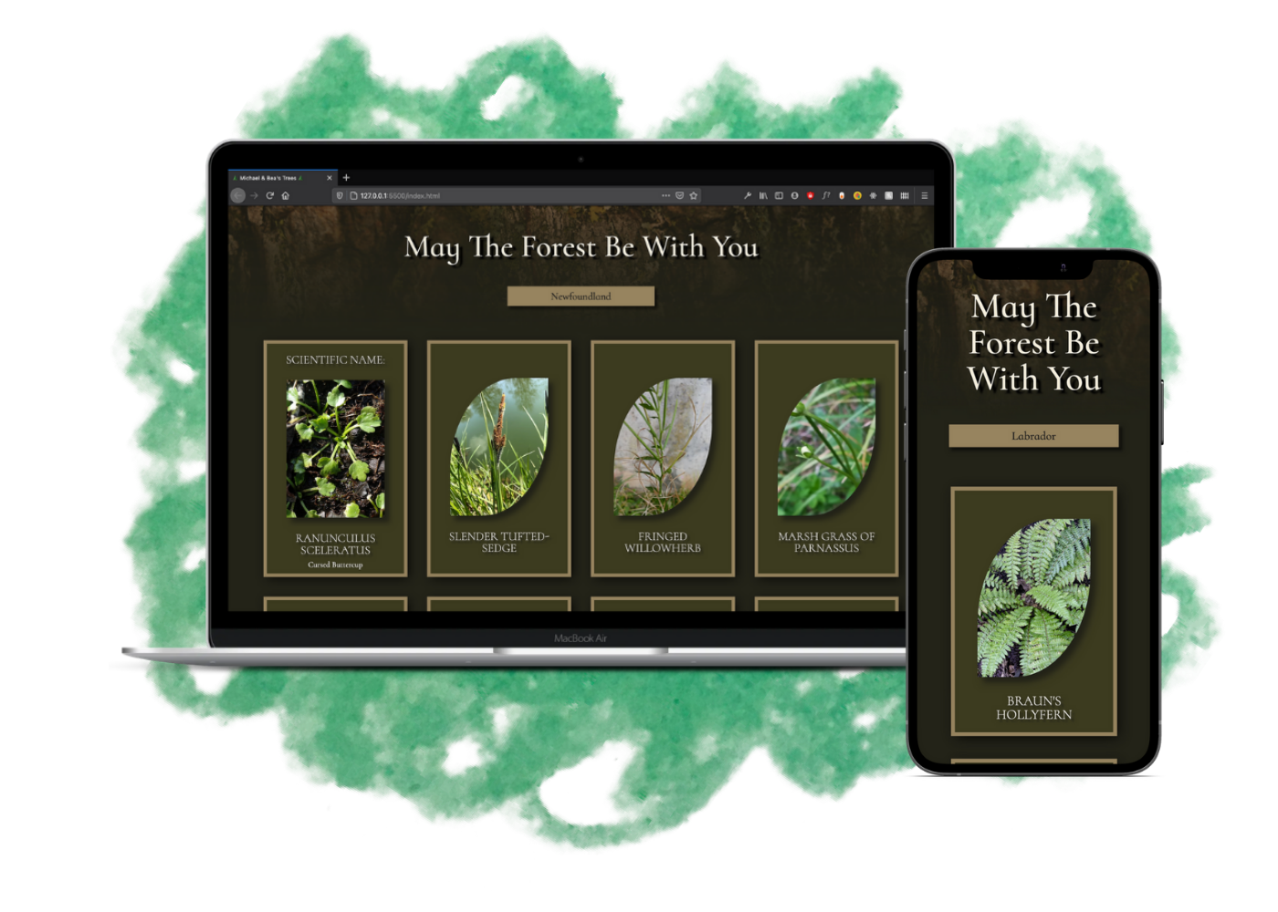 Mockup of May The Forest Be With You app as displayed on a Macbook Air and an iPhone.